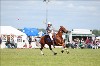 UKPA NC SAT_2593